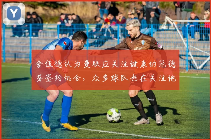 舍伍德认为曼联应关注健康的范德芬签约机会，众多球队也在关注他