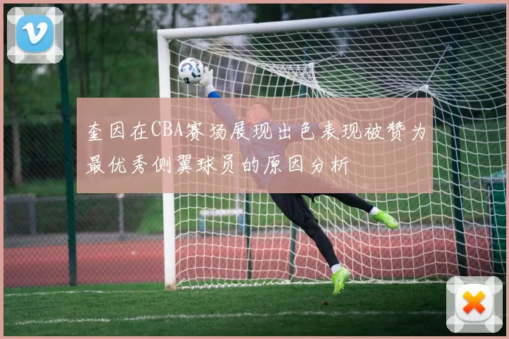 奎因在CBA赛场展现出色表现被赞为最优秀侧翼球员的原因分析